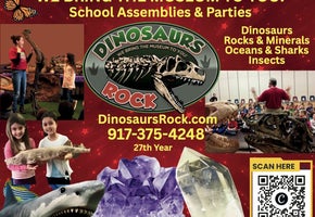 Field Trip Dinosaurs Rock Assemblies 